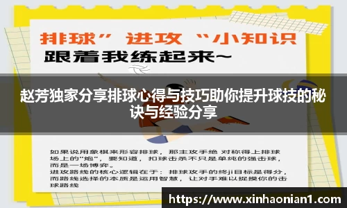 赵芳独家分享排球心得与技巧助你提升球技的秘诀与经验分享
